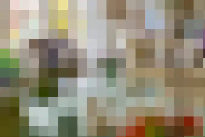 Nieuwe weg 2 Ingen thumbnail 46