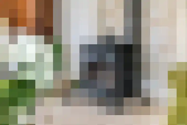 Nieuwe weg 2 Ingen thumbnail 47