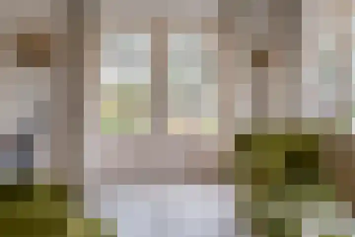 Nieuwe weg 2 Ingen thumbnail 49