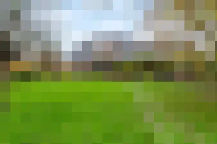 Nieuwe weg 2 Ingen thumbnail 5