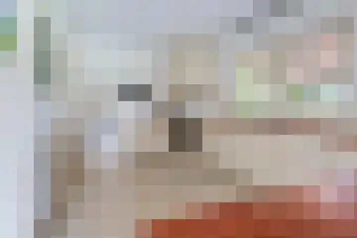 Nieuwe weg 2 Ingen thumbnail 50