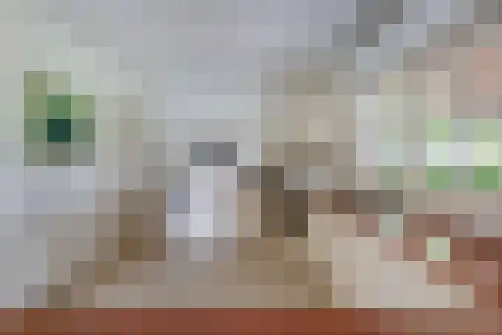 Nieuwe weg 2 Ingen thumbnail 51