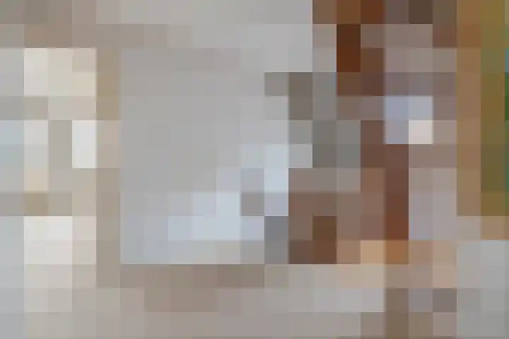 Nieuwe weg 2 Ingen thumbnail 55