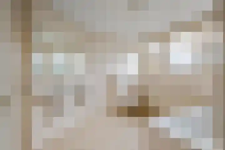 Nieuwe weg 2 Ingen thumbnail 59