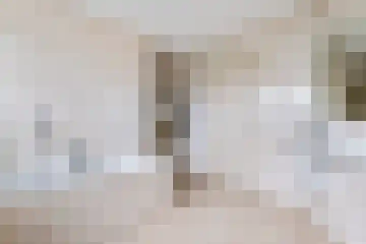 Nieuwe weg 2 Ingen thumbnail 60