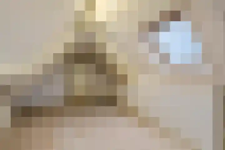 Nieuwe weg 2 Ingen thumbnail 67