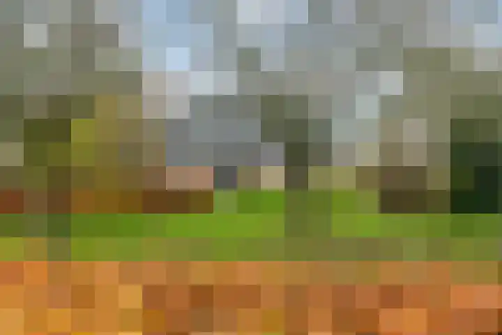 Nieuwe weg 2 Ingen thumbnail 7