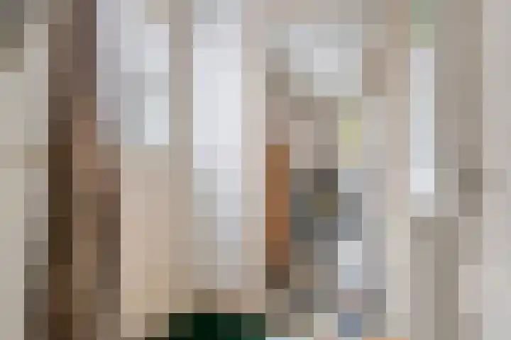 Nieuwe weg 2 Ingen thumbnail 70