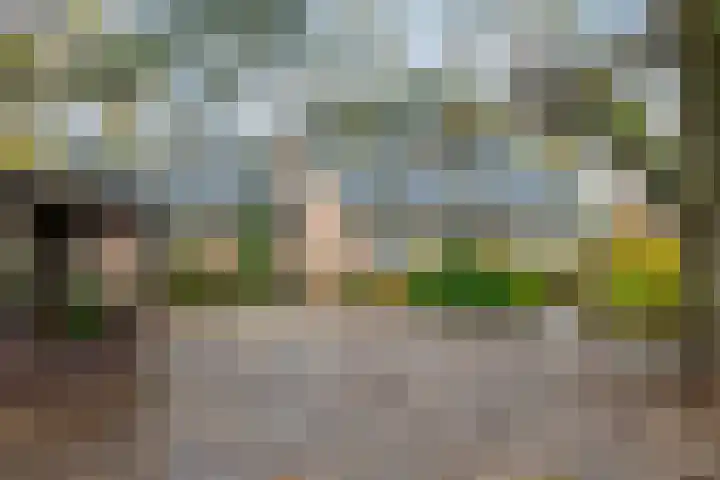 Nieuwe weg 2 Ingen thumbnail 8