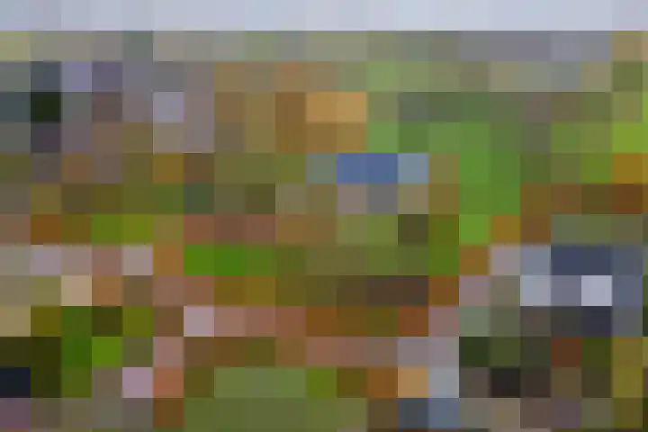 Nieuwe weg 2 Ingen thumbnail 87