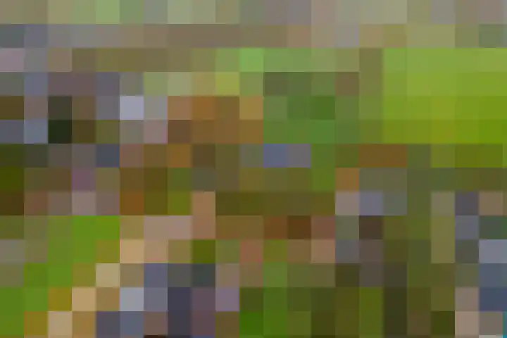 Nieuwe weg 2 Ingen thumbnail 88