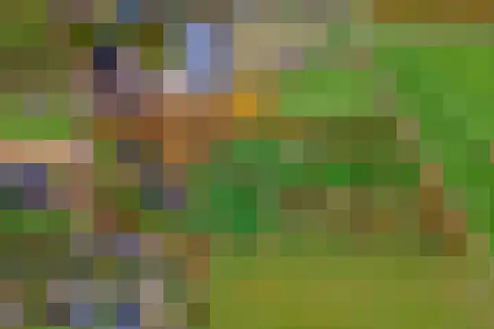 Nieuwe weg 2 Ingen thumbnail 89