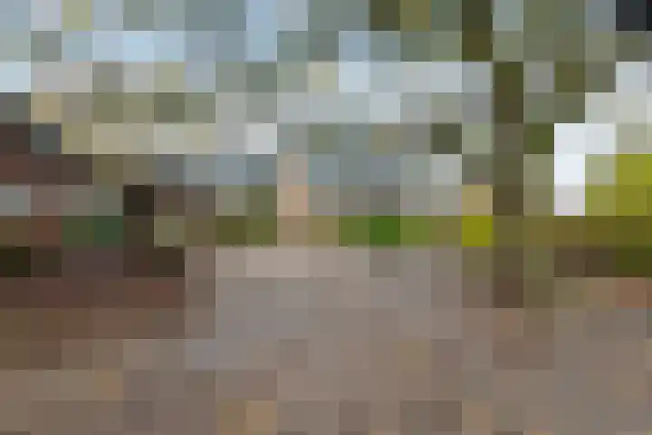 Nieuwe weg 2 Ingen thumbnail 9