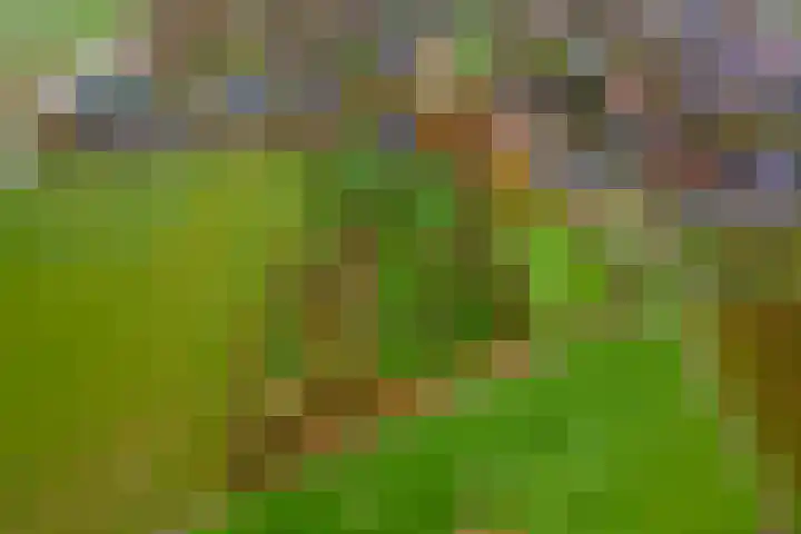Nieuwe weg 2 Ingen thumbnail 91