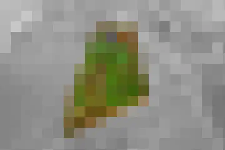 Nieuwe weg 2 Ingen thumbnail 92