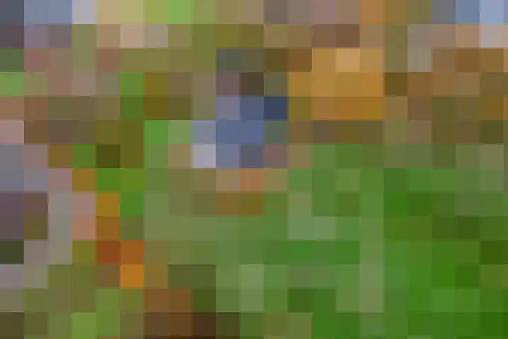 Nieuwe weg 2 Ingen thumbnail 93