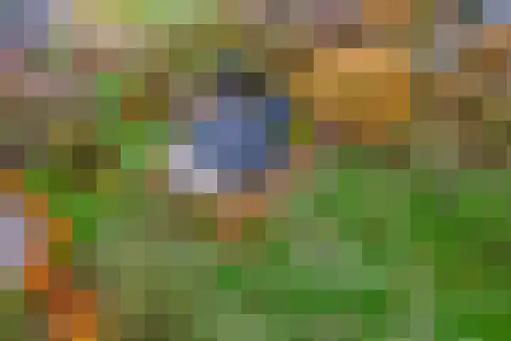 Nieuwe weg 2 Ingen thumbnail 94