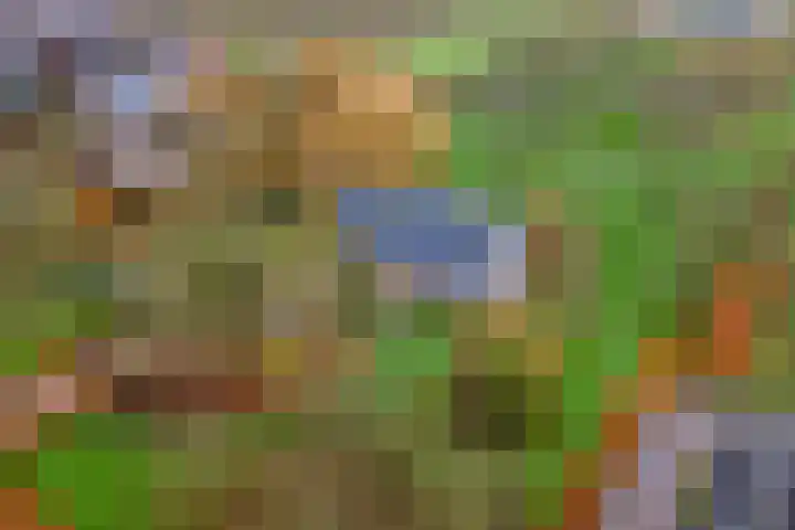 Nieuwe weg 2 Ingen thumbnail 95