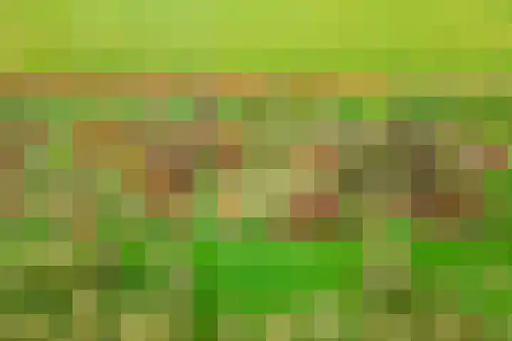 Nieuwe weg 2 Ingen thumbnail 97