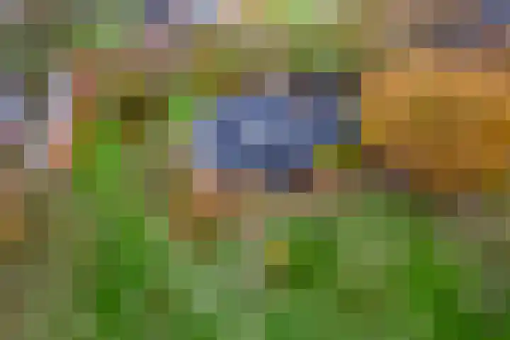 Nieuwe weg 2 Ingen thumbnail 98