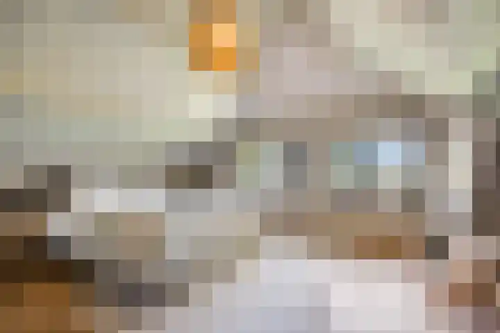 Nieuwe weg 25 Ingen thumbnail 17