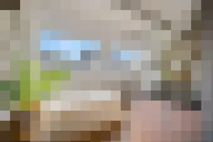 Nieuwe weg 25 Ingen thumbnail 18