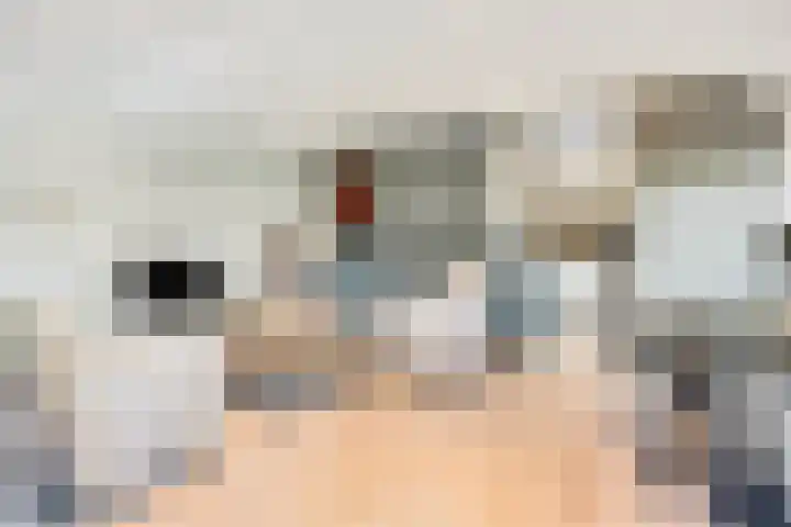 Nieuwe weg 25 Ingen thumbnail 23