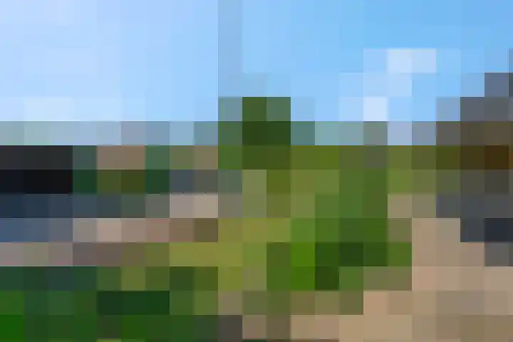 Nieuwe weg 25 Ingen thumbnail 34
