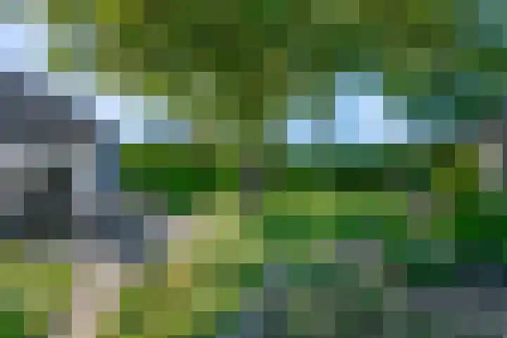 Nieuwe weg 25 Ingen thumbnail 4