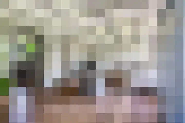 Nieuwe weg 25 Ingen thumbnail 8