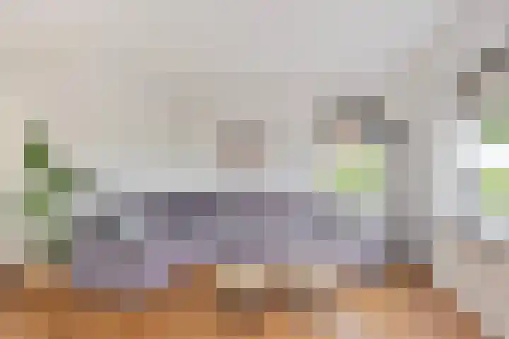 Nieuwe Weg 53 Rotsterhaule thumbnail 10