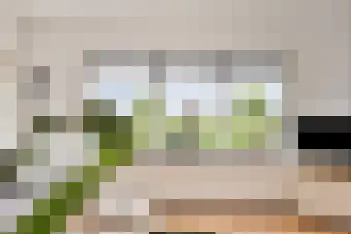 Nieuwe Weg 53 Rotsterhaule thumbnail 11