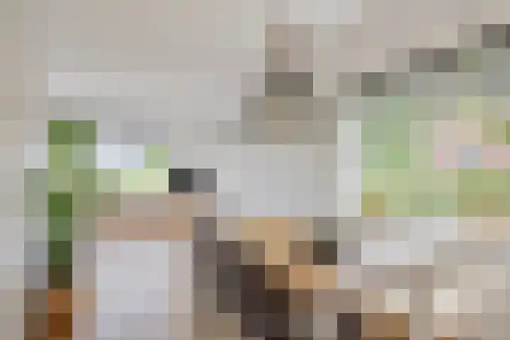 Nieuwe Weg 53 Rotsterhaule thumbnail 13