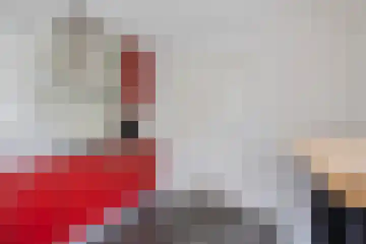 Nieuwe Weg 53 Rotsterhaule thumbnail 16