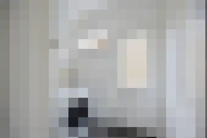 Nieuwe Weg 53 Rotsterhaule thumbnail 17