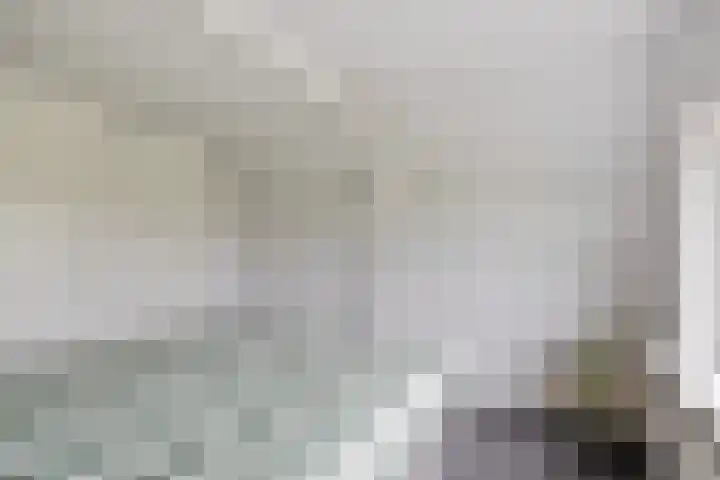 Nieuwe Weg 53 Rotsterhaule thumbnail 20