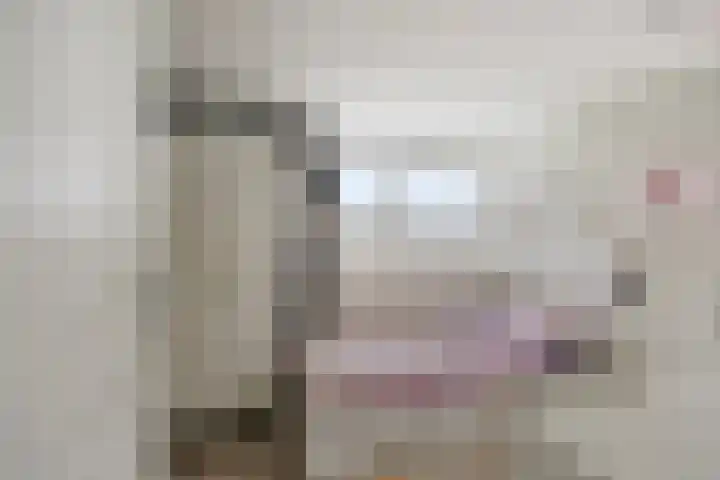 Nieuwe Weg 53 Rotsterhaule thumbnail 21