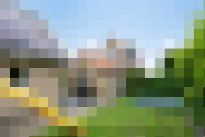 Nieuwe Weg 53 Rotsterhaule thumbnail 25
