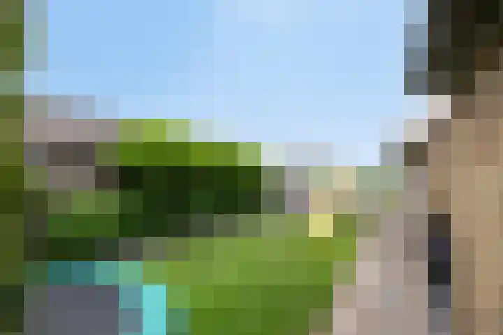 Nieuwe Weg 53 Rotsterhaule thumbnail 26