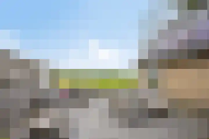 Nieuwe Weg 53 Rotsterhaule thumbnail 27