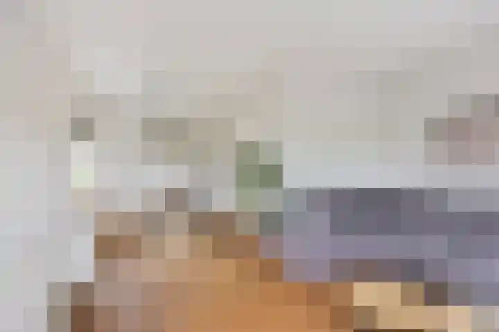 Nieuwe Weg 53 Rotsterhaule thumbnail 9