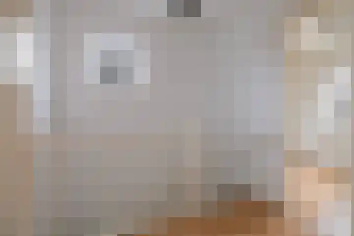 Nieuwe weg 65 Veenoord thumbnail 14