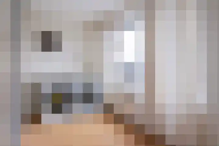 Nieuwe weg 65 Veenoord thumbnail 18