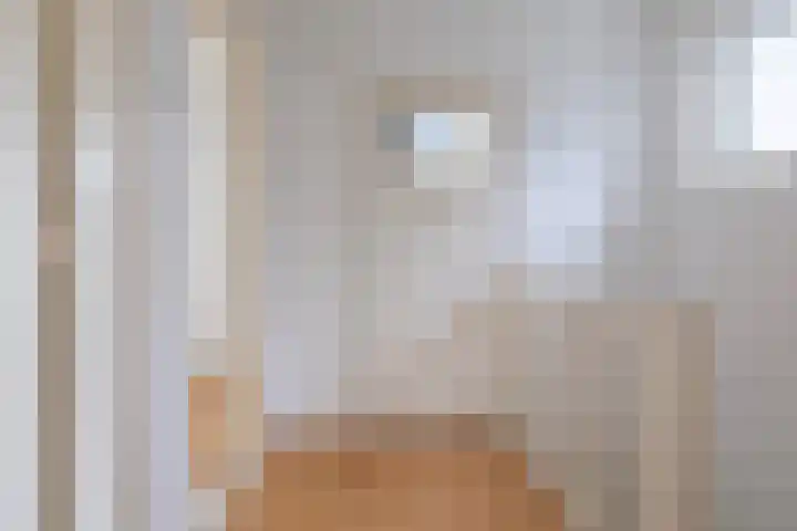 Nieuwe weg 65 Veenoord thumbnail 20