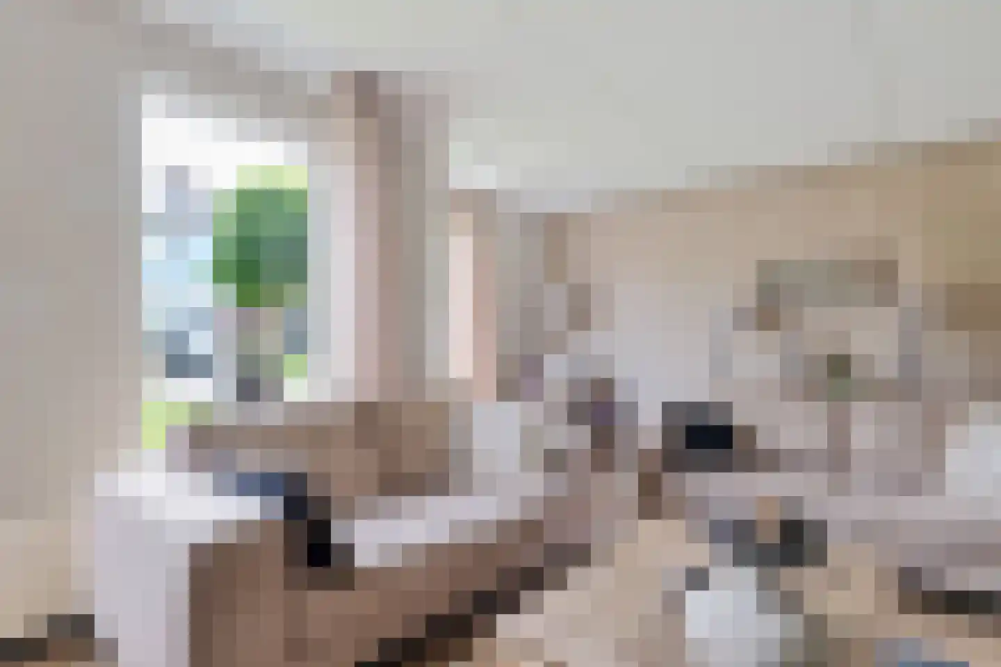 Nieuwe Weg 80 Veenoord thumbnail 10