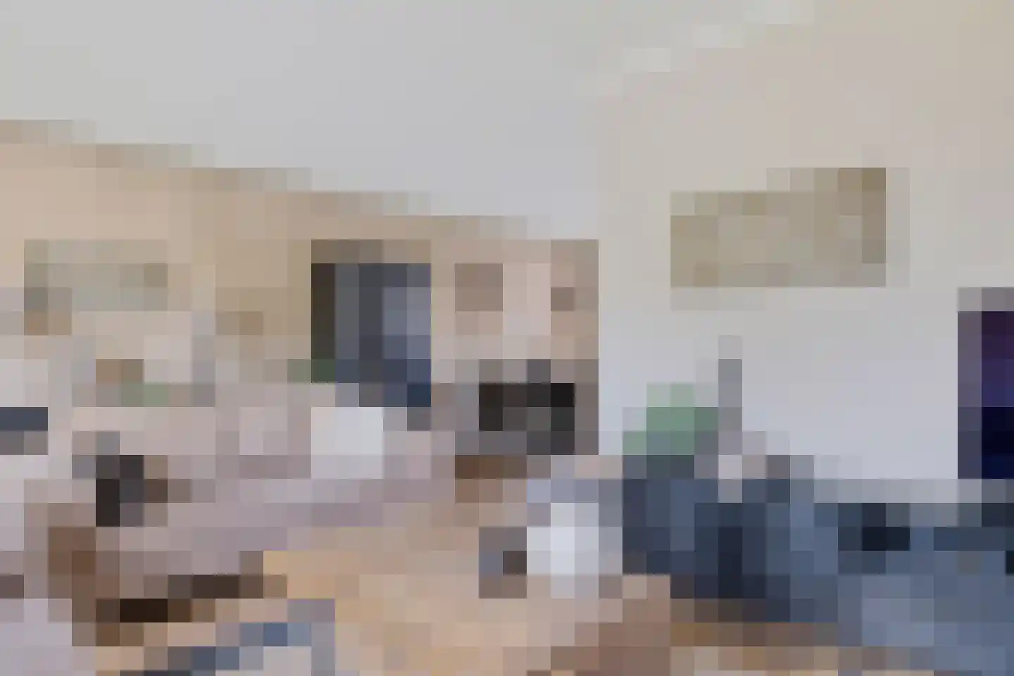 Nieuwe Weg 80 Veenoord thumbnail 12