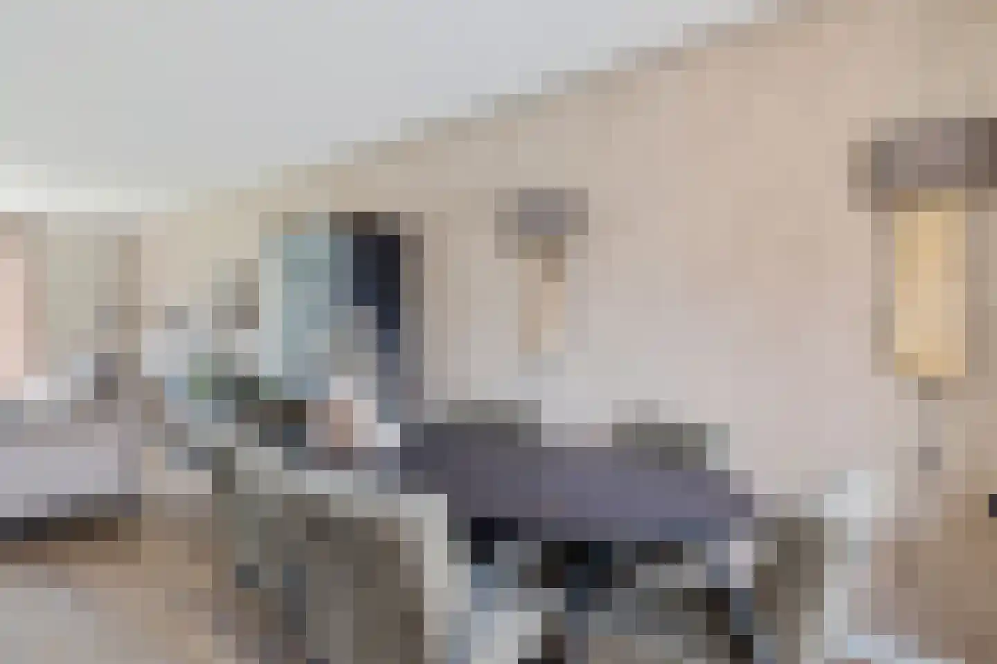 Nieuwe Weg 80 Veenoord thumbnail 14