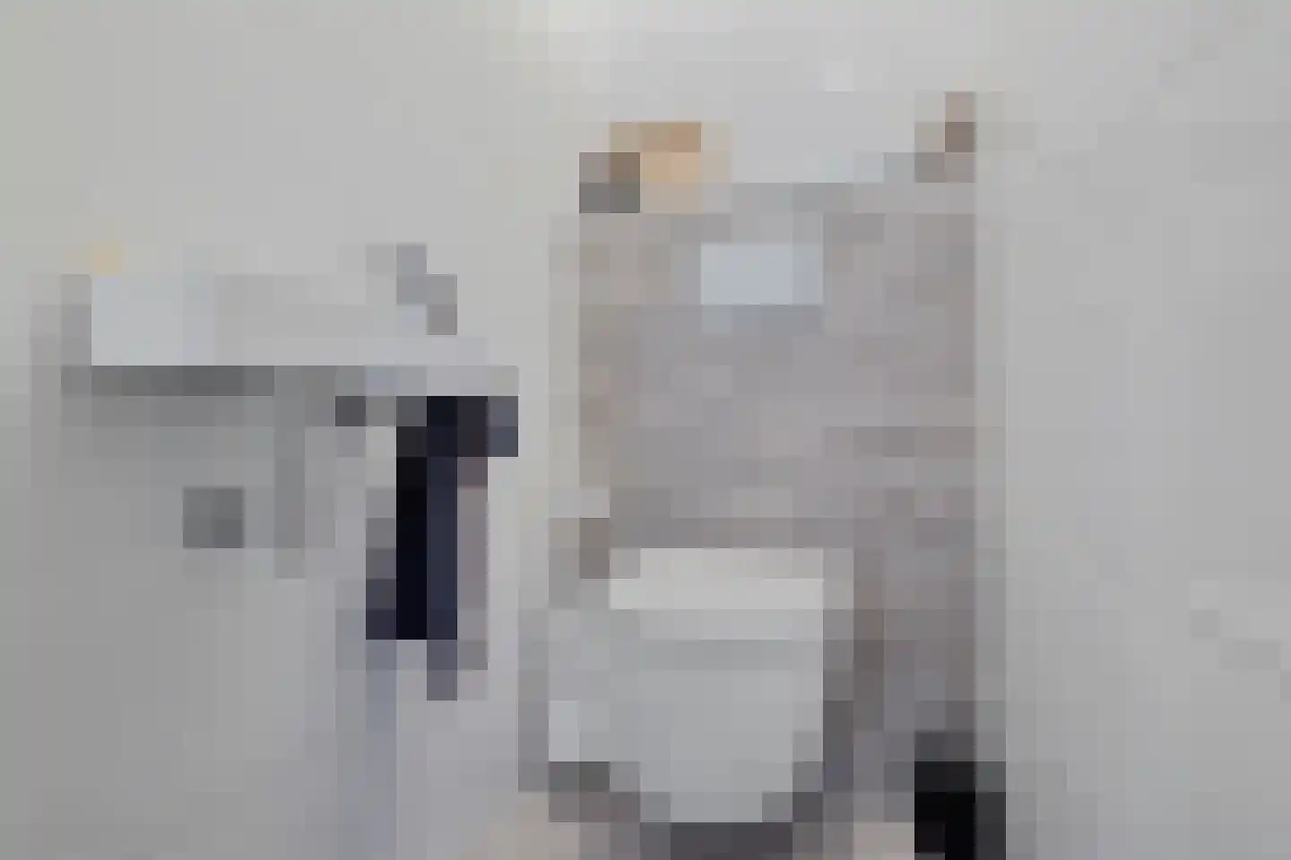 Nieuwe Weg 80 Veenoord thumbnail 21