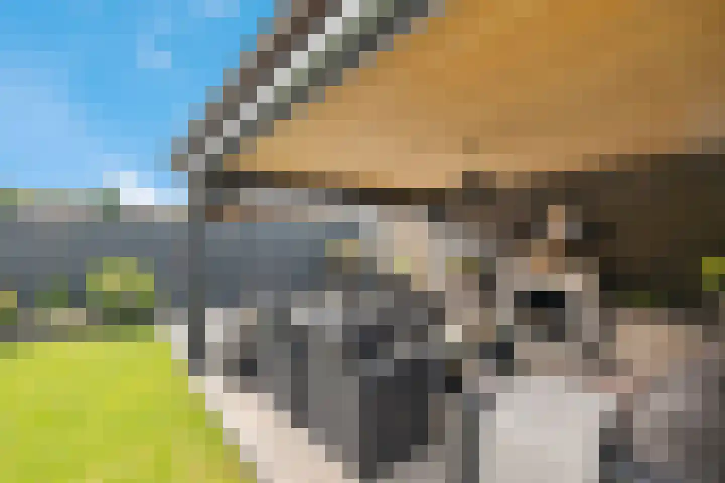 Nieuwe Weg 80 Veenoord thumbnail 40