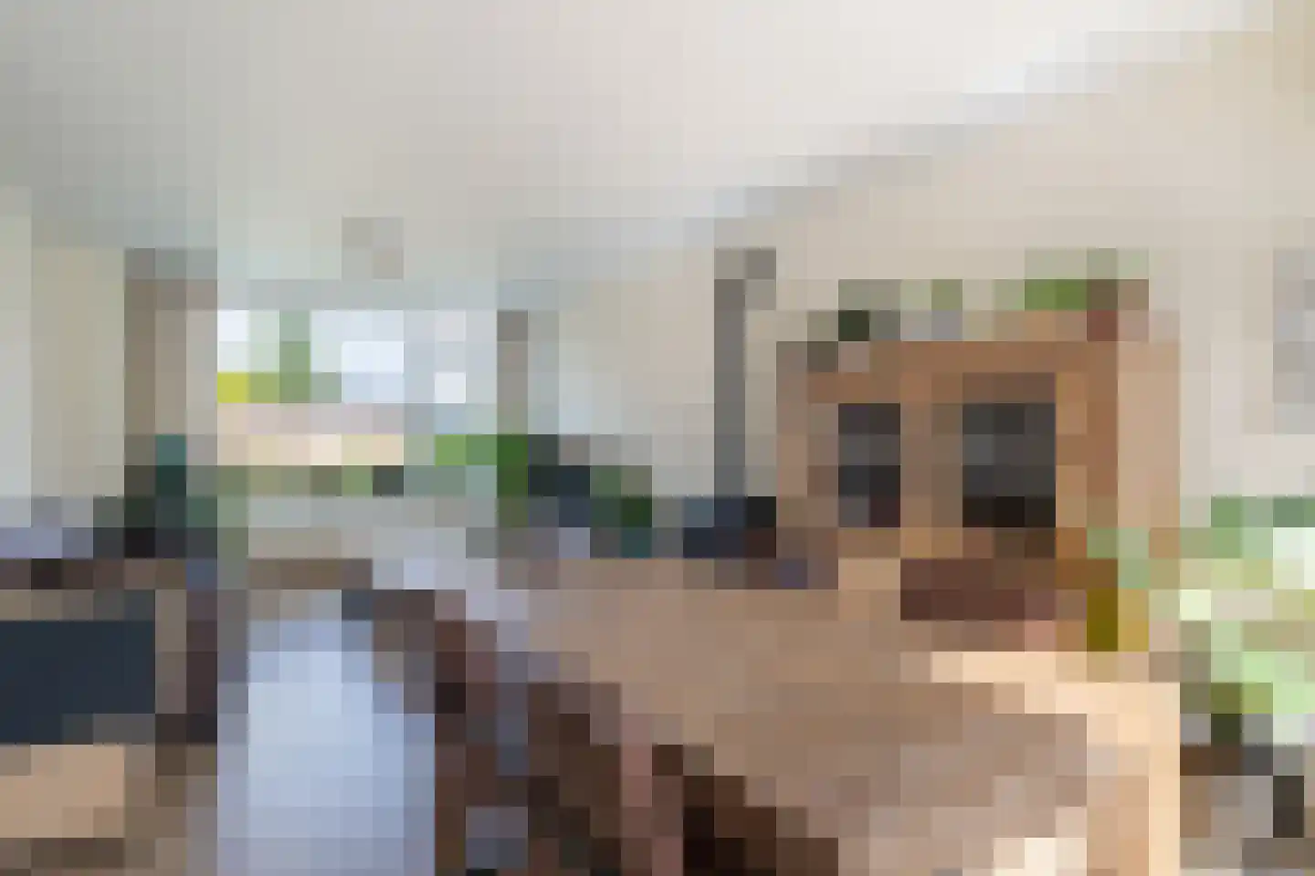 Nieuwe weg 99 Veenoord thumbnail 12